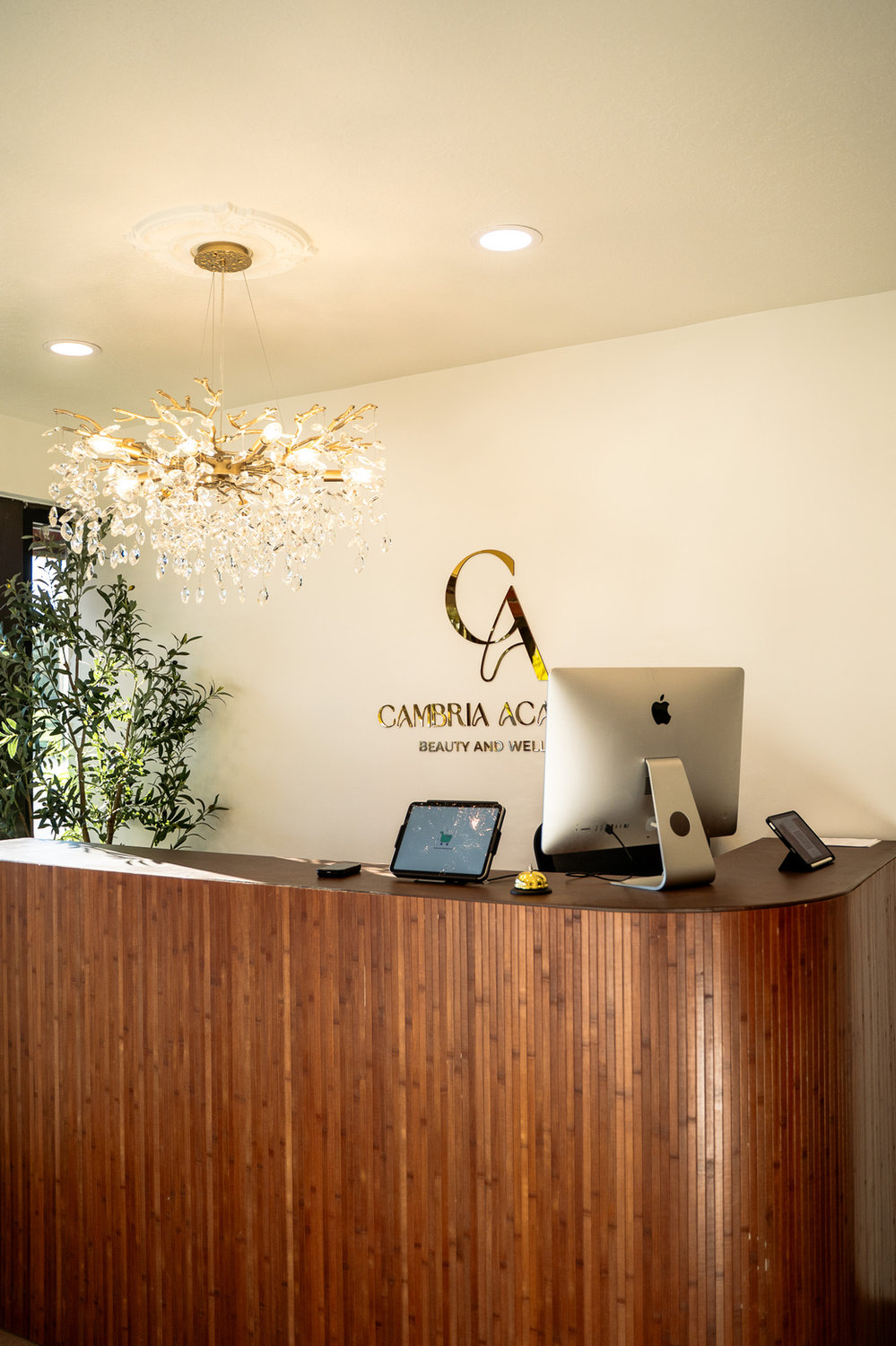 Cambria Academy reception desk